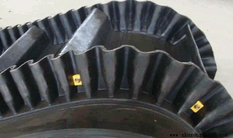 微波硫化運(yùn)輸帶擋邊結(jié)構(gòu)效果圖